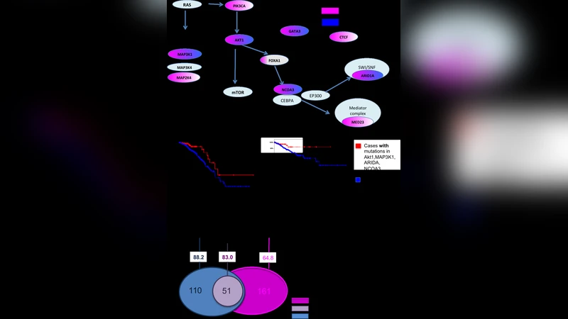 WeSME: Uncovering Mutual Exclusivity of Cancer Drivers and Beyond