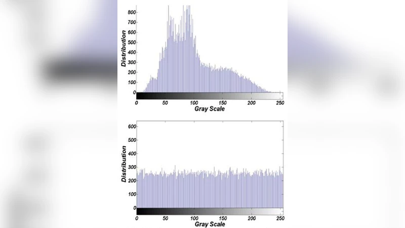 Chaotic trigonometric Haar wavelet with focus on image encryption