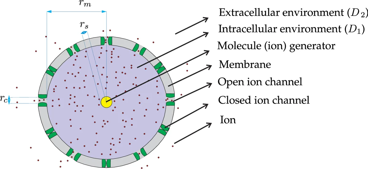 Constraints on Lorentz invariance violation from gamma-ray burst   GRB090510