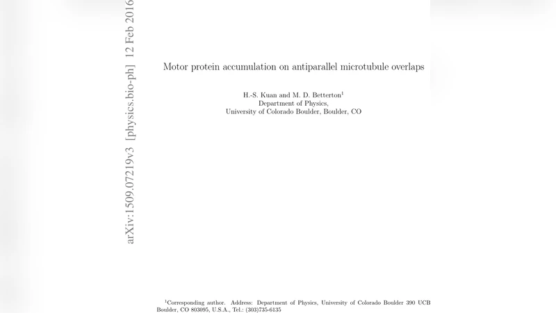 Motor protein accumulation on antiparallel microtubule overlaps