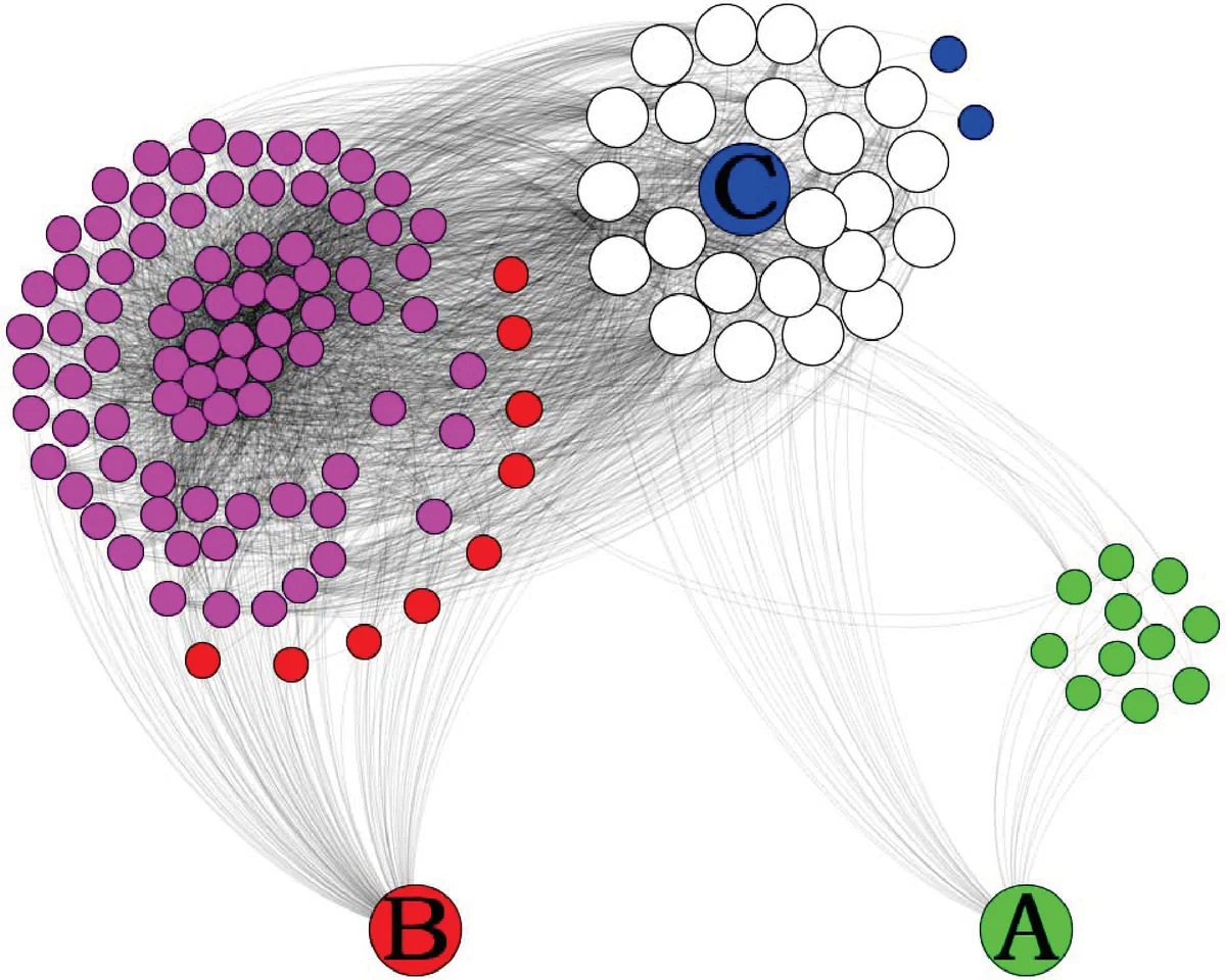 Playing the role of weak clique property in link prediction: A friend   recommendation model