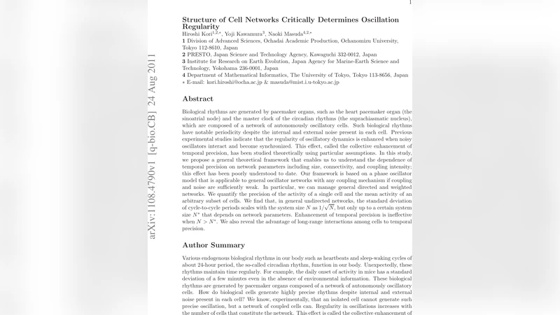 Structure of Cell Networks Critically Determines Oscillation Regularity