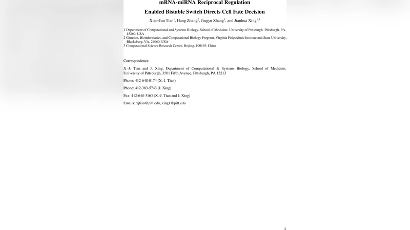 mRNA-miRNA Reciprocal Regulation Enabled Bistable Switch Directs Cell   Fate Decision