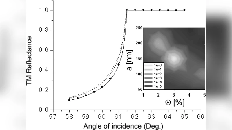 On the characterization of a random monolayer of particles from coherent   optical reflectance