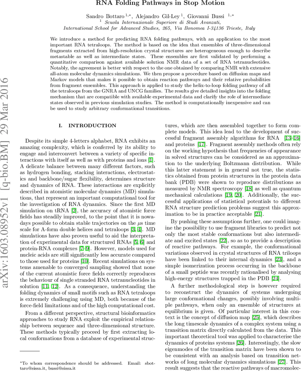 RNA Folding Pathways in Stop Motion