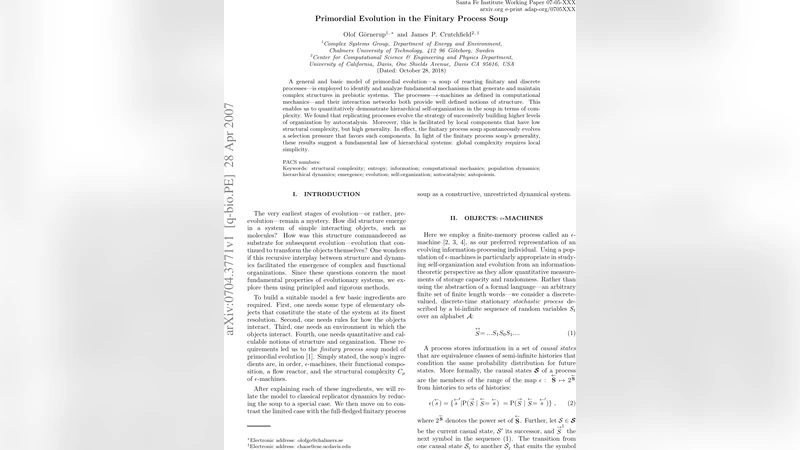 Primordial Evolution in the Finitary Process Soup