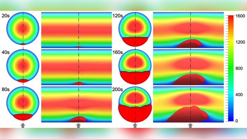 Multi-Constituent Simulation of Thrombus Deposition