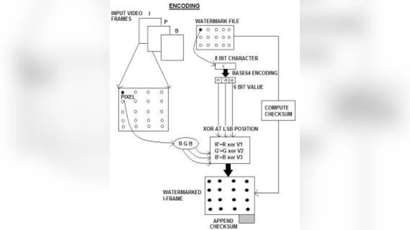 Algorithmic Analysis of Invisible Video Watermarking using LSB Encoding   Over a Client-Server Framework