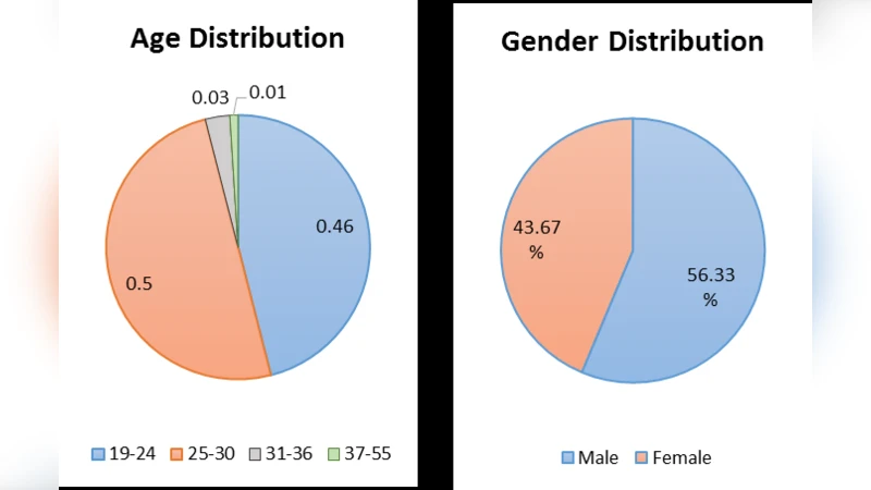 Classification of Smartphone Users Using Internet Traffic