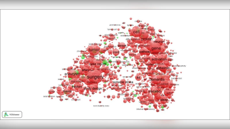 Exploring the relationship between the Engineering and Physical Sciences   and the Health and Life Sciences by advanced bibliometric methods