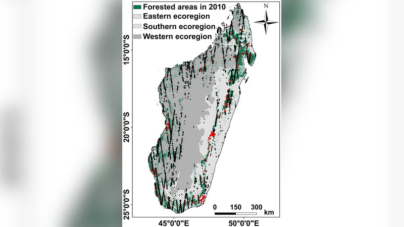 Interest of Integrating Spaceborne LiDAR Data to Improve the Estimation   of Biomass in High Biomass Forested Areas