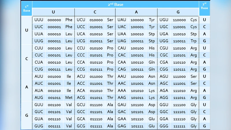 A Binary Representation of the Genetic Code