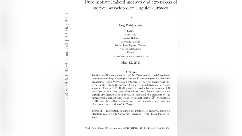 Pure motives, mixed motives and extensions of motives associated to   singular surfaces