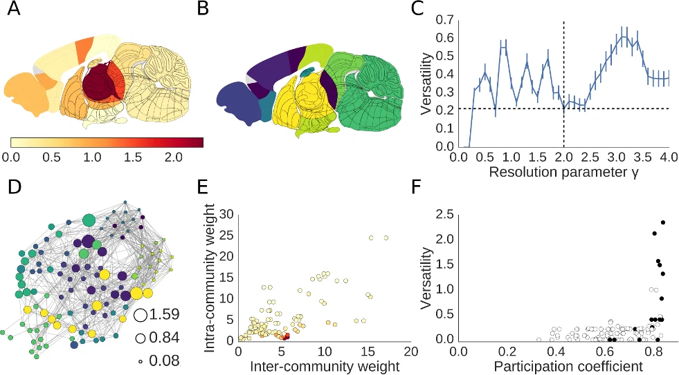 A Multi-Task Targeted Learning Framework for Lithium-Ion Battery State-of-Health and Remaining Useful Life