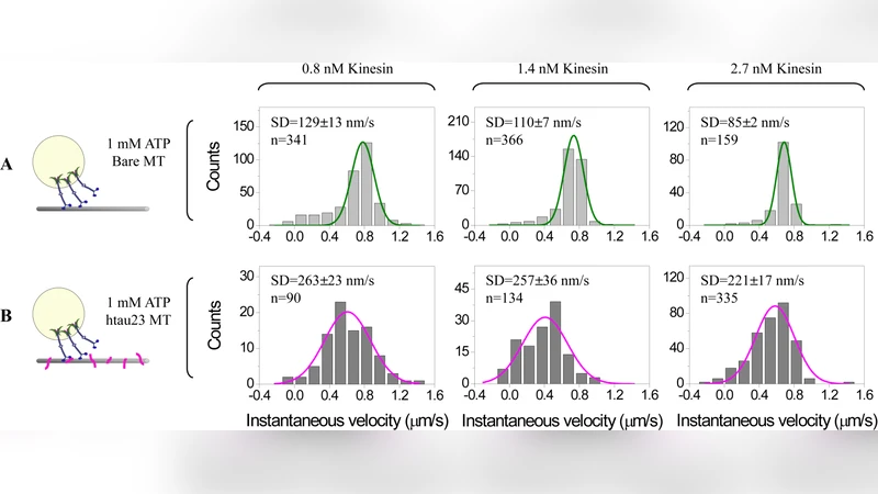 Interplay between velocity and travel distance of kinesin-based   transport in the presence of tau