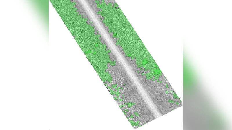 A Q-Ising model application for linear-time image segmentation