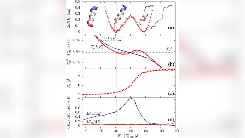Interplay between Secondary and Tertiary Structure Formation in Protein   Folding Cooperativity