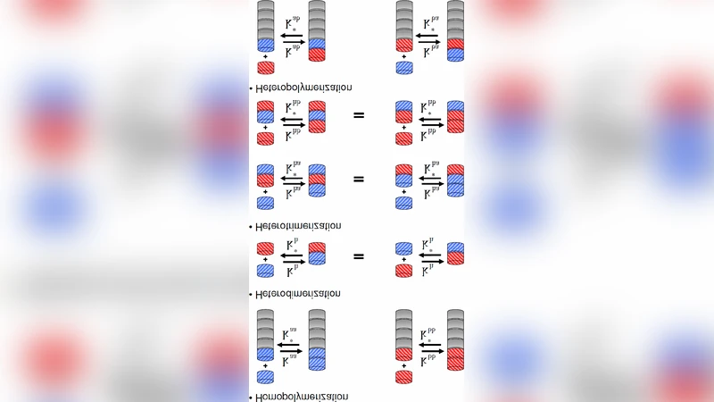 Homochiral oligopeptides by chiral amplification: Interpretation of   experimental data with a copolymerization model