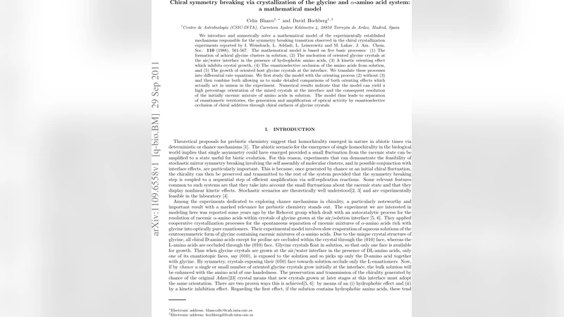 Chiral symmetry breaking via crystallization of the glycine and   alpha-amino acid system: a mathematical model