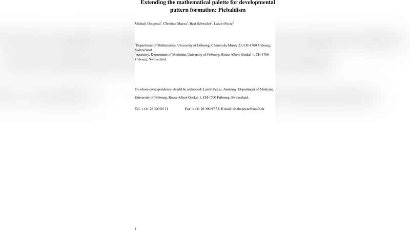 Extending the mathematical palette for developmental pattern formation:   Piebaldism
