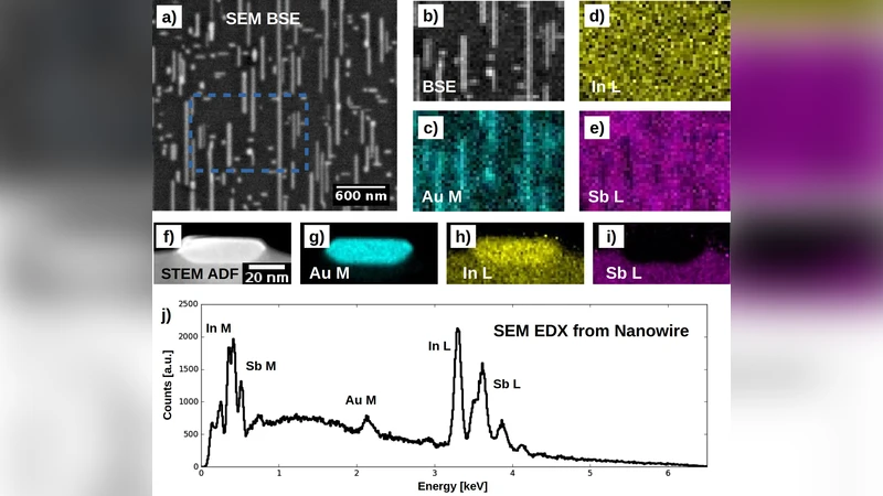 Retrieving the quantitative chemical information at nanoscale from SEM   EDX measurements by Machine Learning