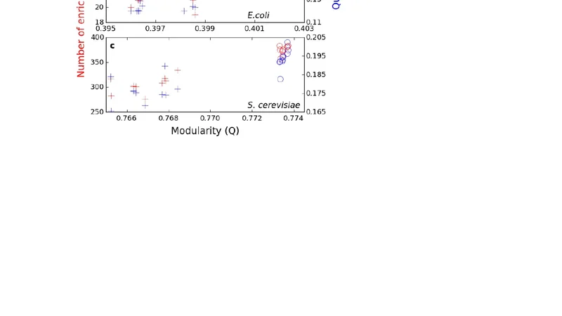 Extraction of hidden information by efficient community detection in   networks