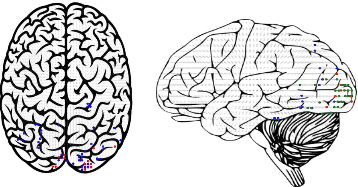 Efficient Point Cloud Processing with High-Dimensional Positional Encoding and Non-Local MLPs