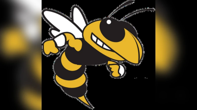 Real-time Road Traffic Information Detection Through Social Media