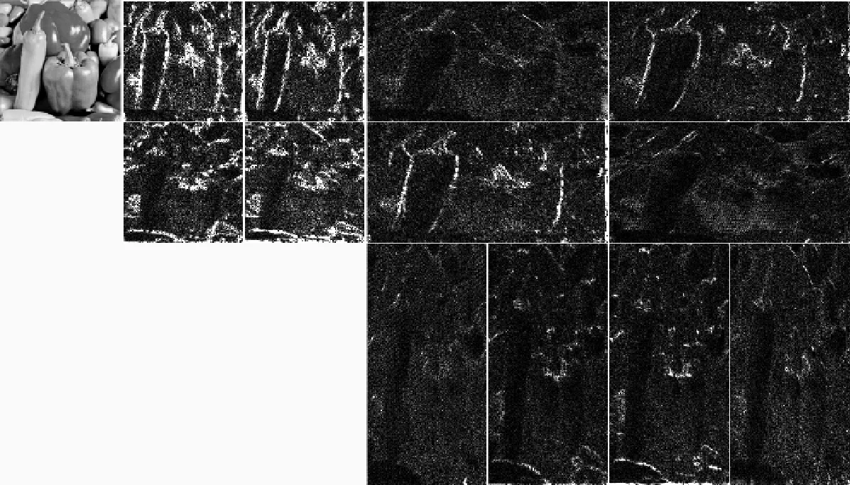 A Novel Contourlet Domain Watermark Detector for Copyright Protection