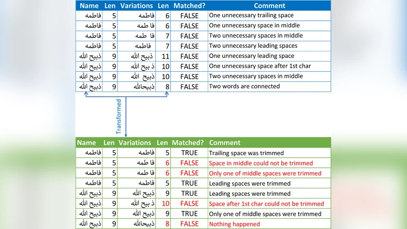 Data is the Fuel of Organizations: Opportunities and Challenges in   Afghanistan