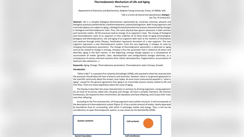 Thermodynamic Mechanism of Life and Aging