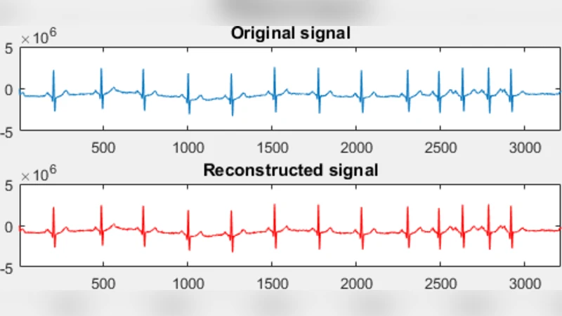 Biomedical Signals Reconstruction Under the Compressive Sensing Approach