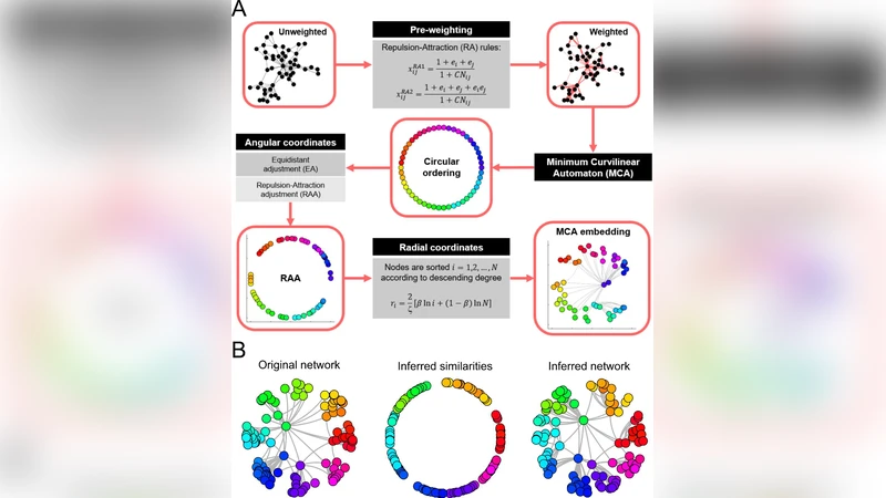 Minimum curvilinear automata with similarity attachment for network   embedding and link prediction in the hyperbolic space