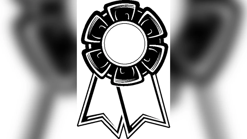 Predicting 3D structure, flexibility and stability of RNA hairpins in   monovalent and divalent ion solutions