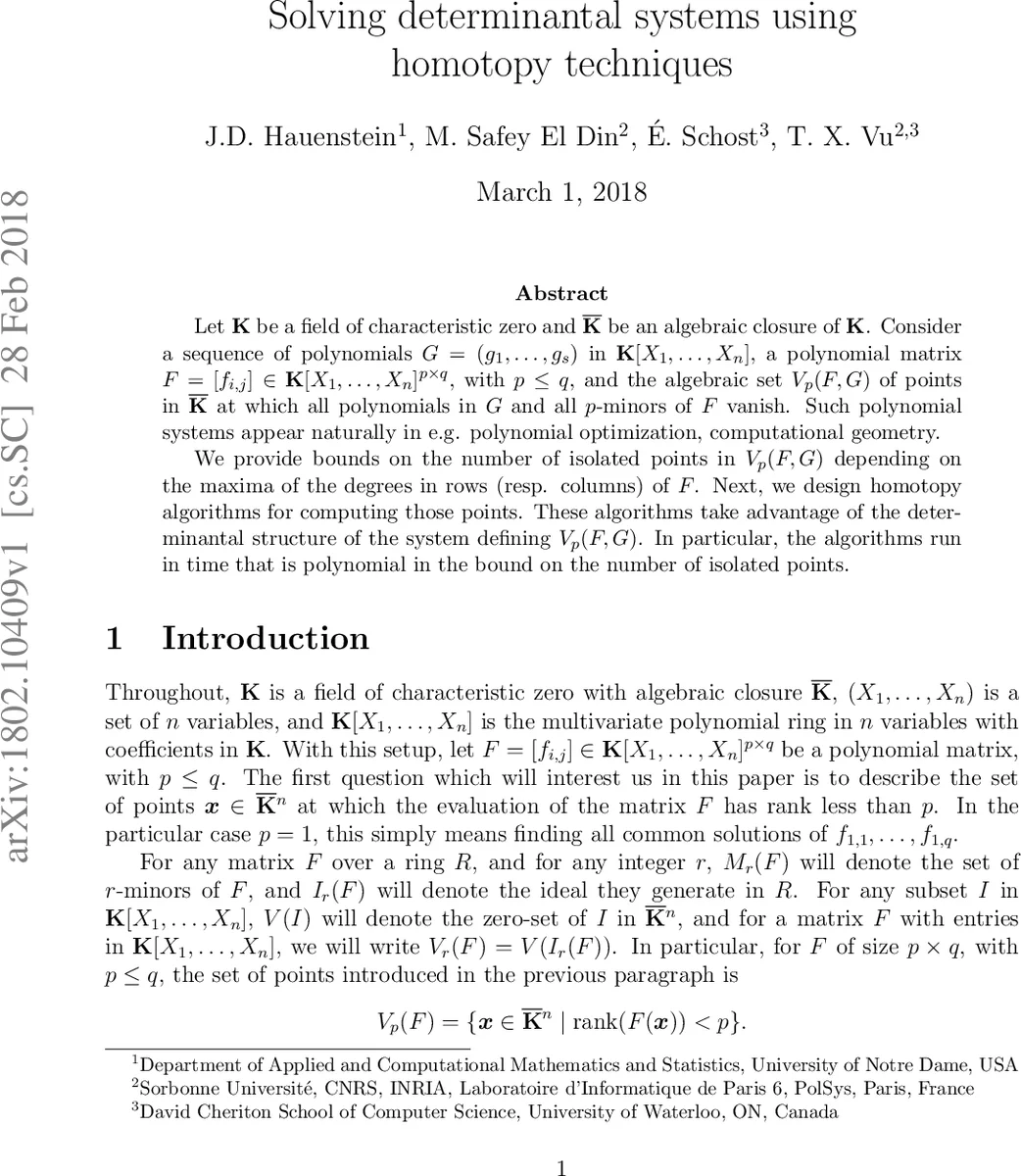 Solving determinantal systems using homotopy techniques