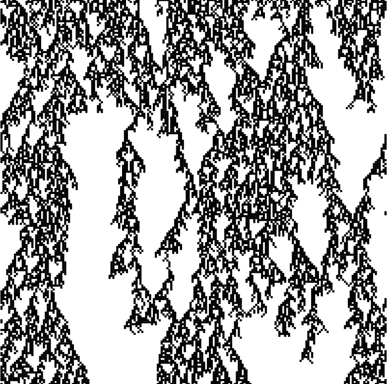 A probabilistic cellular automata model for the dynamics of a population   driven by logistic growth and weak Allee effect