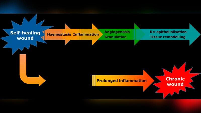 The application of collagen in advanced wound dressings
