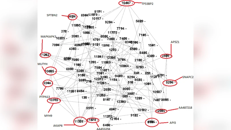 Prediction of a Gene Regulatory Network from Gene Expression Profiles   With Linear Regression and Pearson Correlation Coefficient