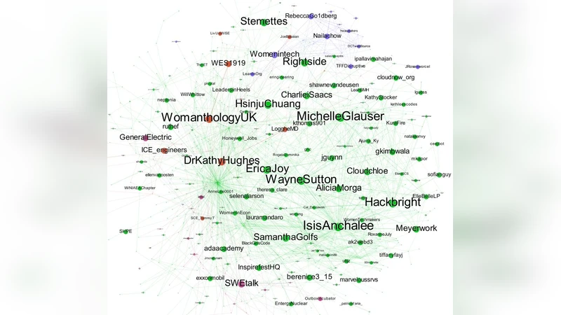 #ILookLikeAnEngineer: Using Social Media Based Hashtag Activism   Campaigns as a Lens to Better Understand Engineering Diversity Issues