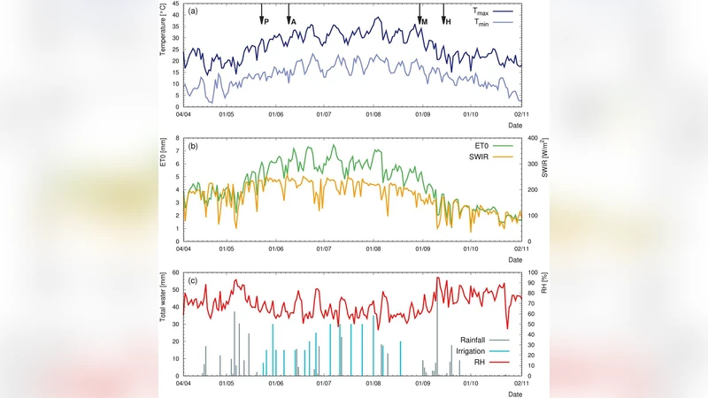 Modelling soil water conent in a tomato field: proximal gamma ray   spectroscopy and soil-crop system models