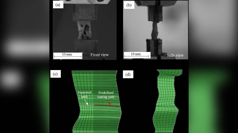 An inverse analysis of cohesive zone model parameter values for human   fibrous cap mode I tearing