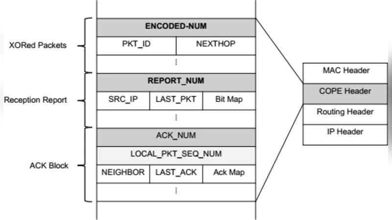 An Effective Privacy-Preserving Data Coding in Peer-To-Peer Network