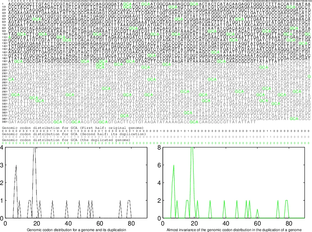 Observations and perspectives on the diversification of genomes
