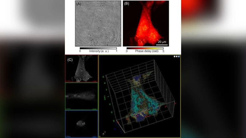 Quantitative Phase Imaging and Artificial Intelligence: A Review