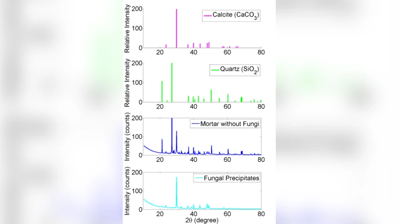 Screening of Fungi for the Application of Self-Healing Concrete