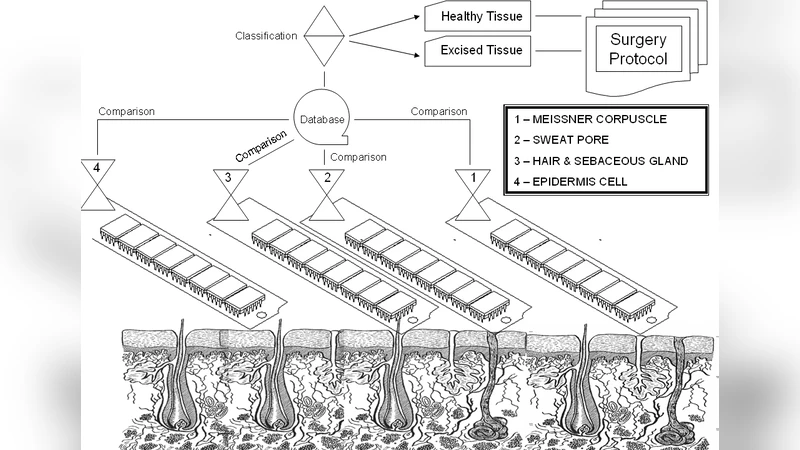 Multiparametric qualimetric microsurgical scanning chip-lancet model:   theoretical metrological and biomedical considerations