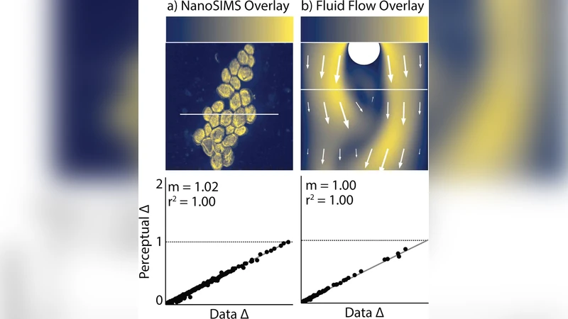 Optimizing colormaps with consideration for color vision deficiency to   enable accurate interpretation of scientific data