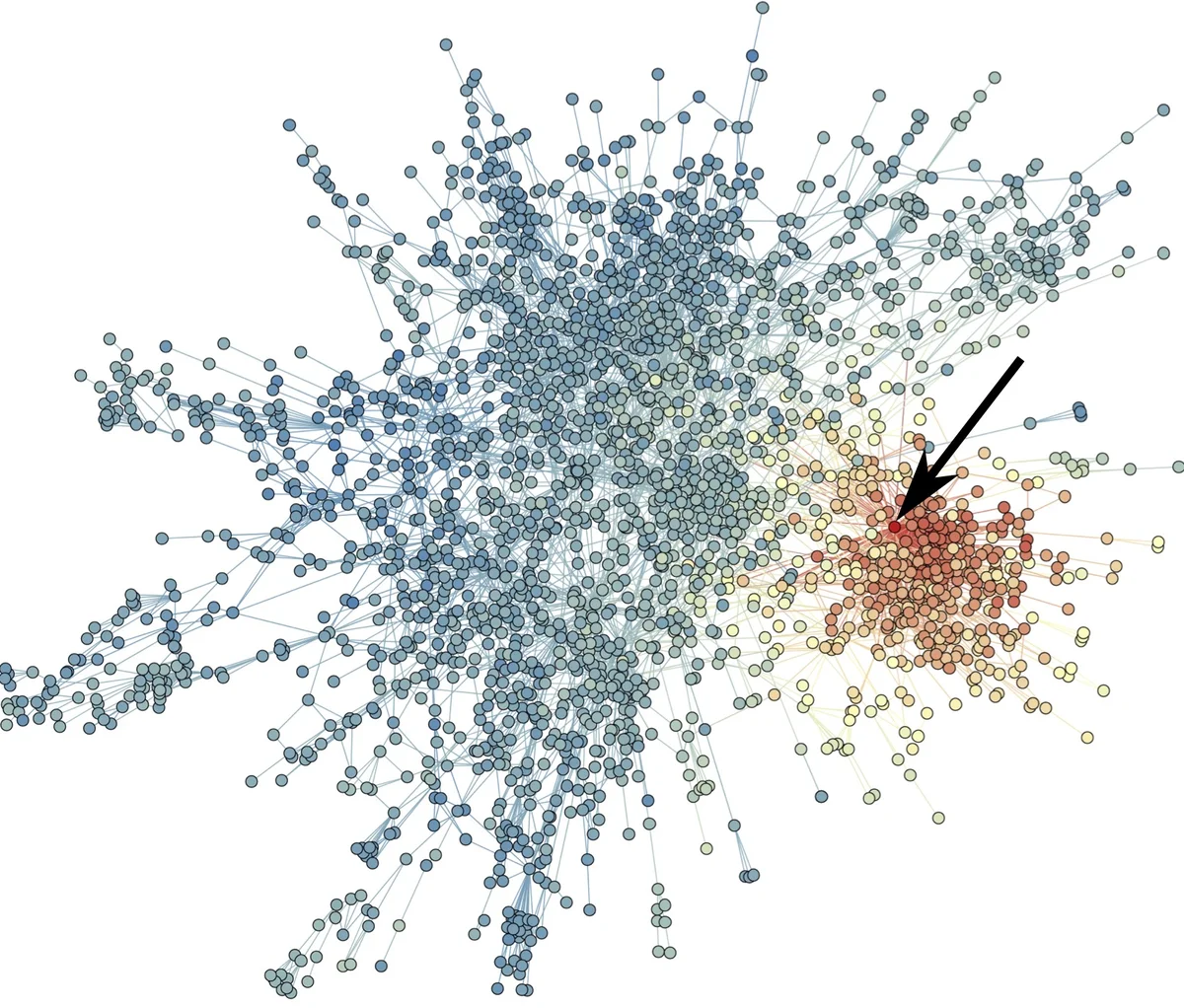 Boosting the Robustness Verification of DNN by Identifying the   Achilless Heel