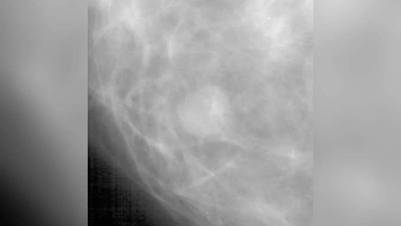 Geared Rotationally Identical and Invariant Convolutional Neural Network   Systems