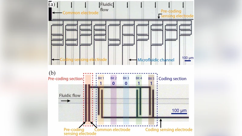 Code-division multiplexed resistive pulse sensor networks for   spatio-temporal detection of particles in microfluidic devices